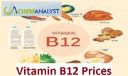 Vitamin B12 Price Trend and Forecast